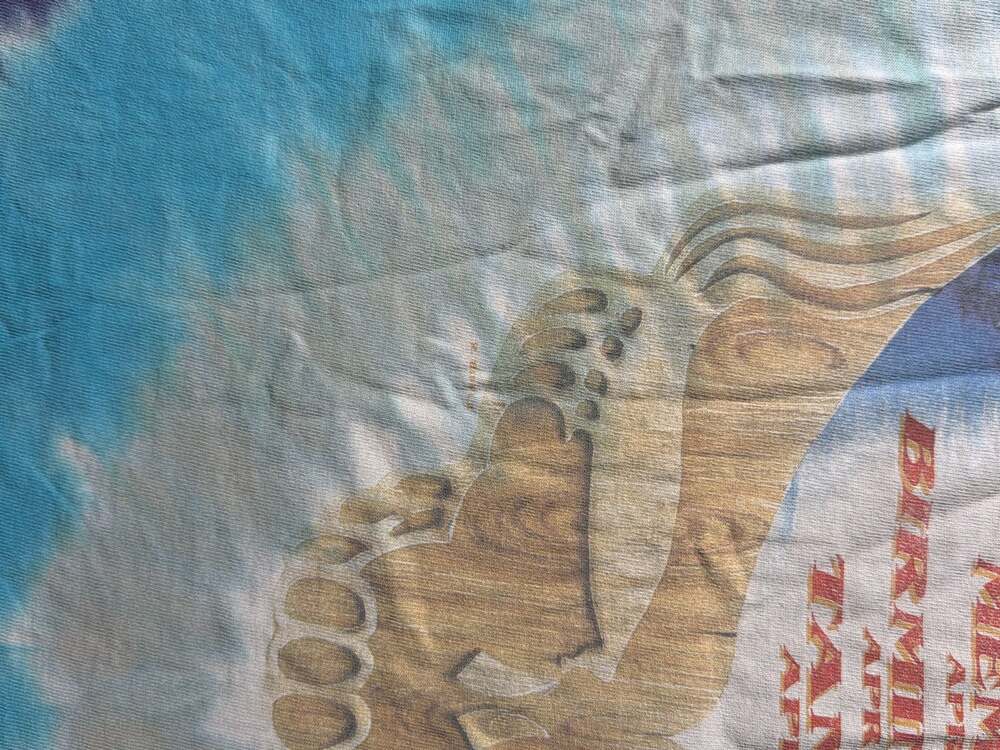 Rare '95 Spring Tour, Greatful Dead, T- Shirt, Grateful Zydeadco, Liquid Blue - Picture 11 of 11